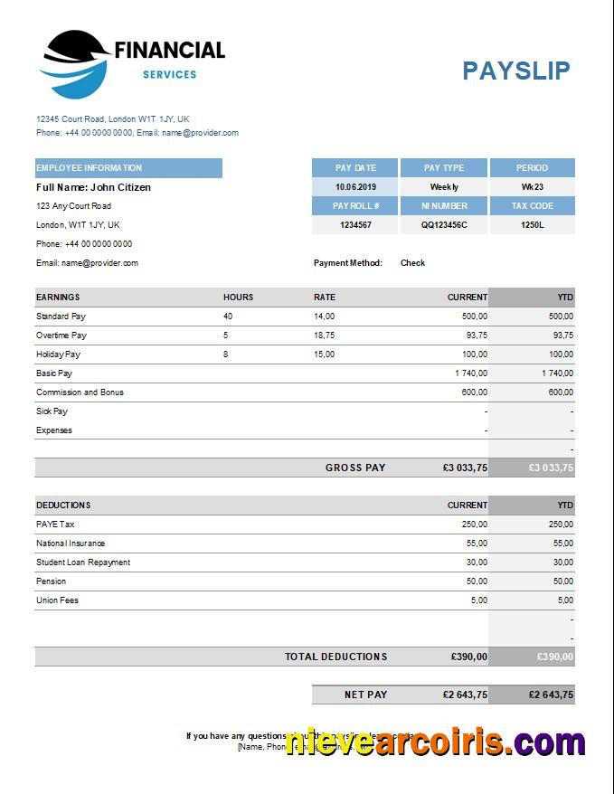 Financical services payslip